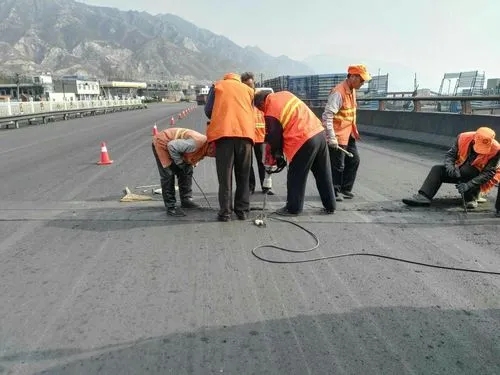 渝中道路桥梁病害治理